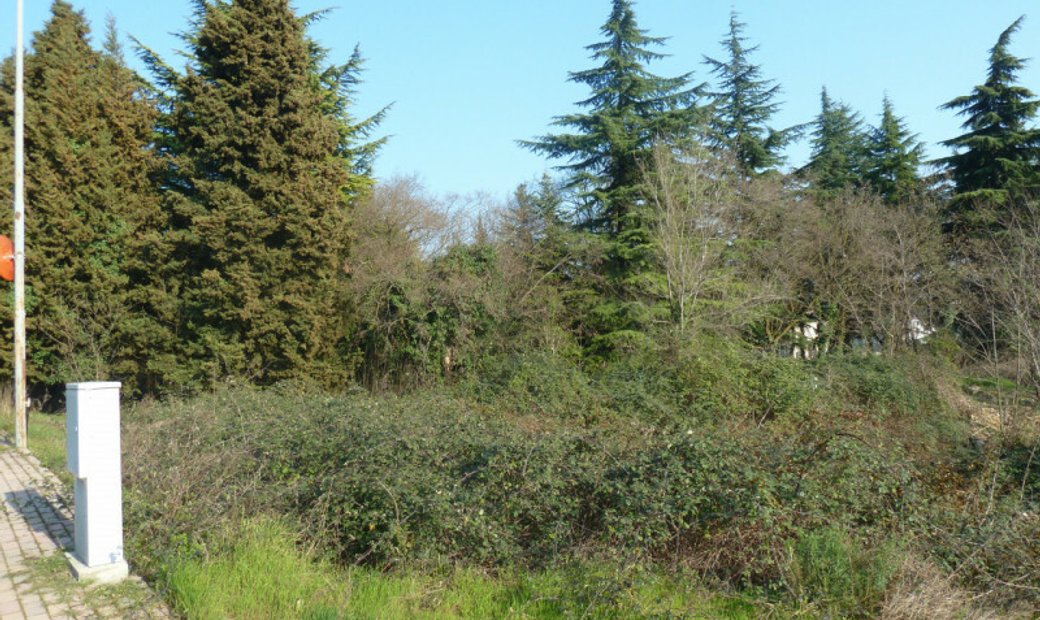 Verona Land In Tregnago, Italy For Sale (12236973)