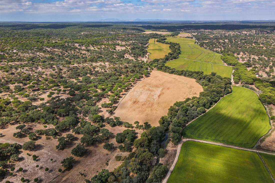 Rancho en Montemor-o-Novo, Évora, Portugal 1 - 12237375