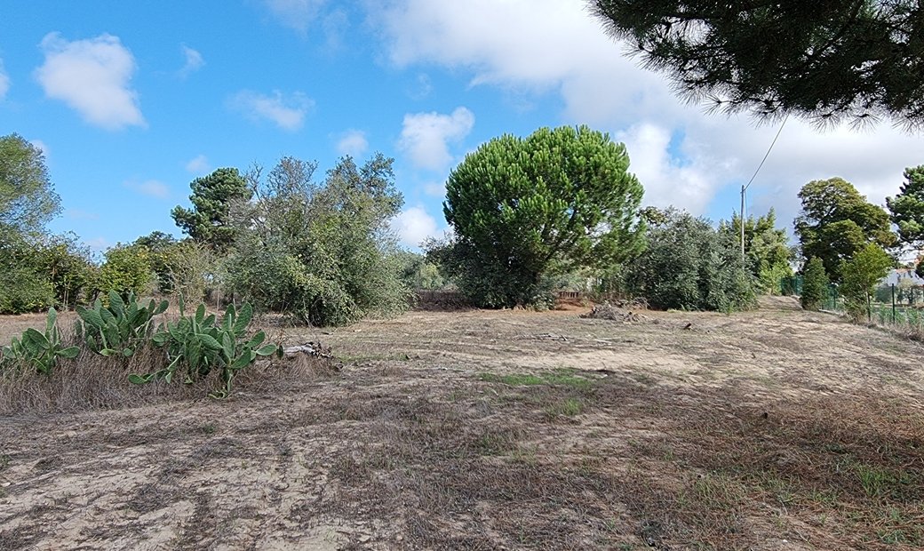 Urban Development In Melides For Multiple Homes In Melides, Setubal
