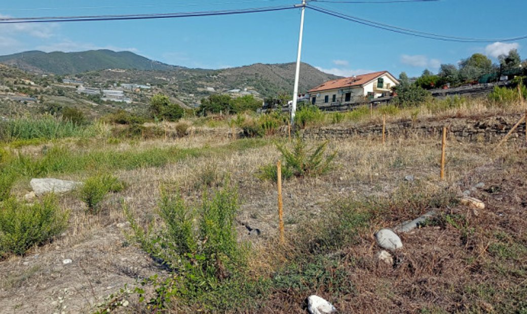 Imperia Land In Sanremo, Liguria, Italy For Sale (12244132)