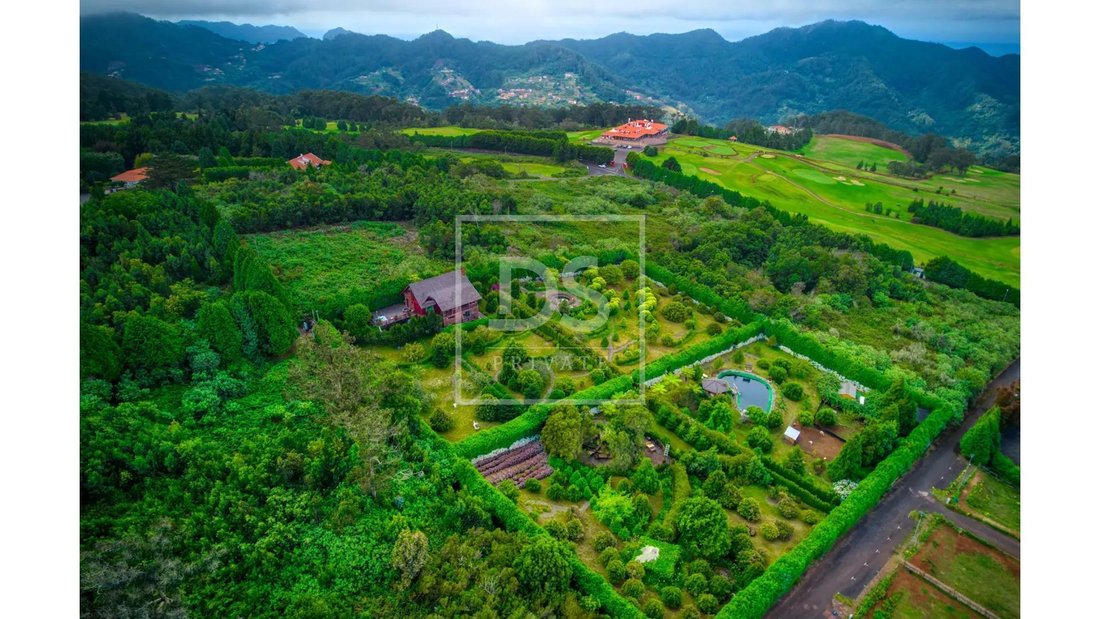 Only One In Madeira Island! T5 In Santo António Da Serra, Madeira