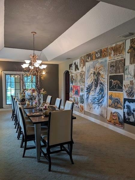 House in Kissimmee, Florida, United States 5 - 12250928