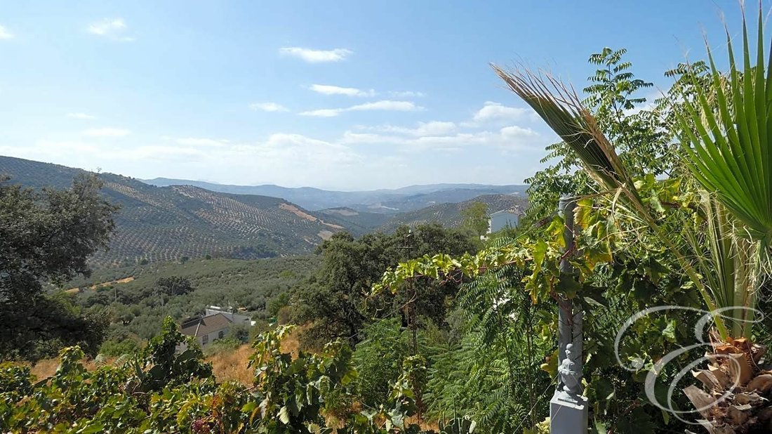 Villa in Iznajar, Andalusia, Spain 4 - 12253374