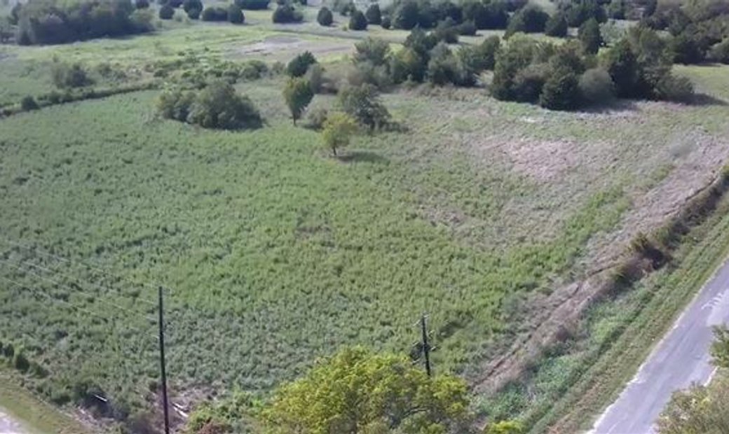 Enormous Property Of 84 Acres In Kerens In 75144, Texas, United States