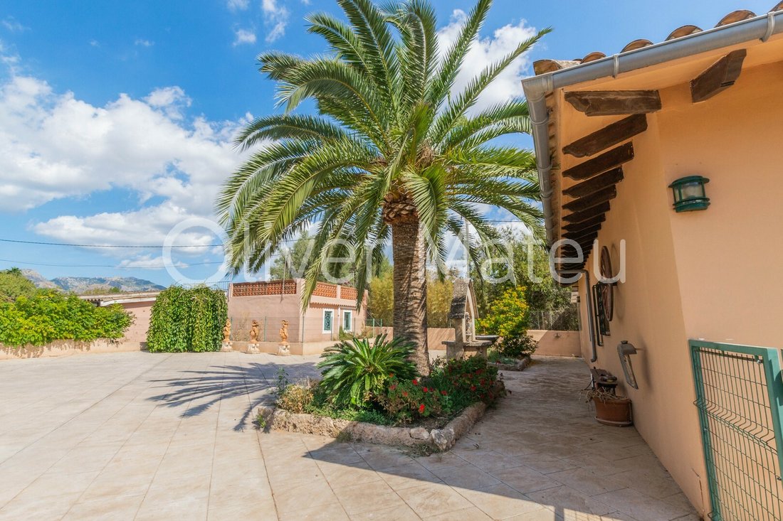 Two Houses On Large Plot With Olive Grove In Palma, Balearic Islands