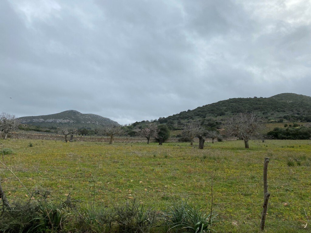 Land in Manacor, Balearic Islands, Spain 2 - 12268588