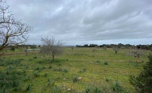 Land in Manacor, Balearic Islands, Spain 1