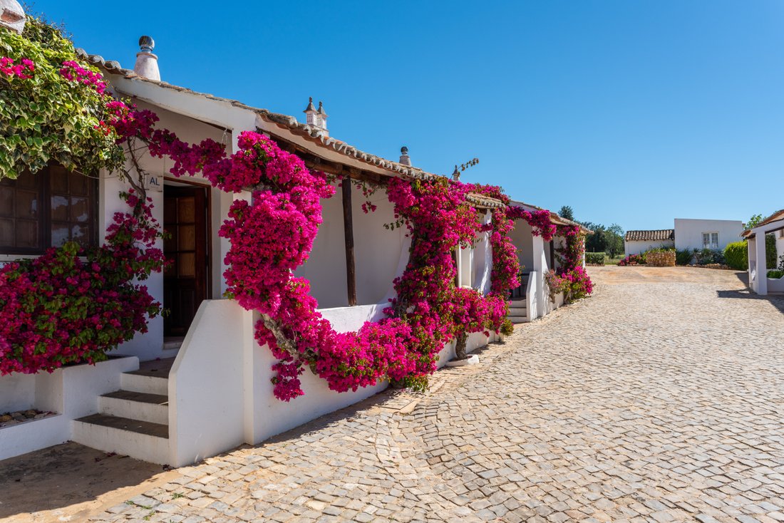 Algarve Farm For Sale, 75.000m2, Manor House + 4 In Guia, Algarve