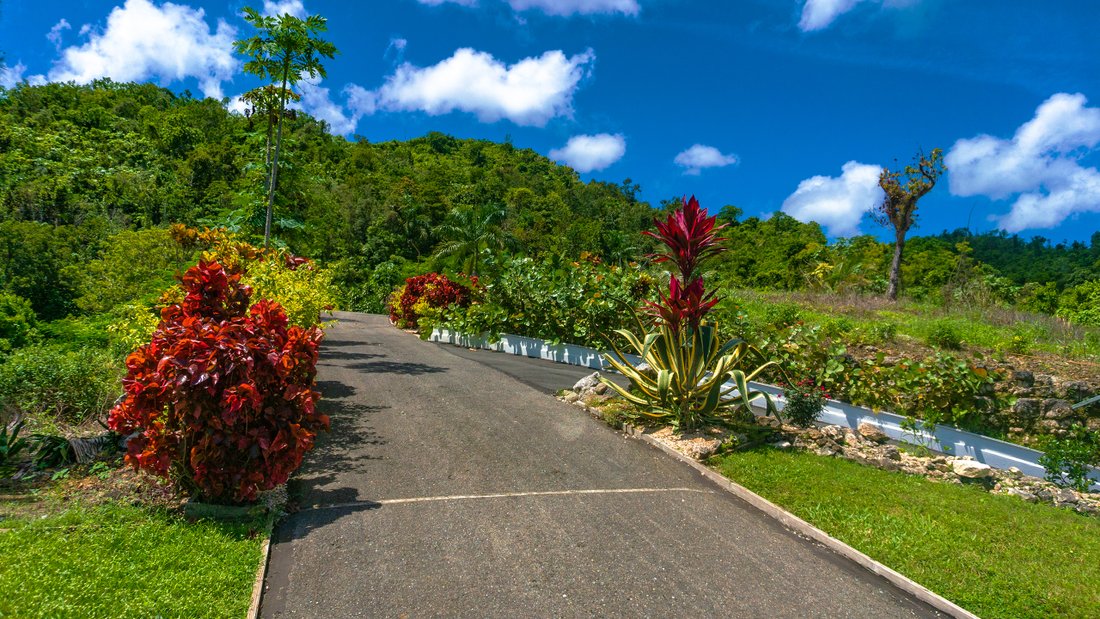 House in Ciales, Ciales, Puerto Rico 3 - 12269615