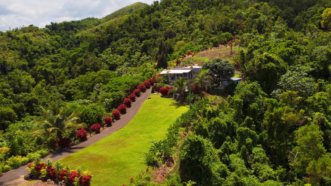House in Ciales, Ciales, Puerto Rico 5 - 12269615