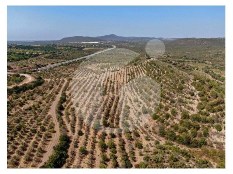 Land in Luz de Tavira e Santo Estevao, Algarve, Portugal 4 - 12276285