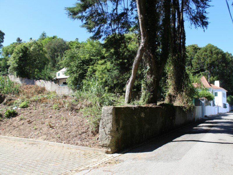 Land For Construction In Exclusive Area Ranholas In Sintra, Lisbon