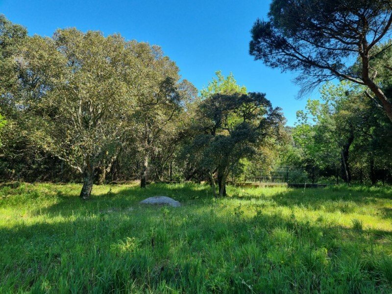 Plot Sale Sintra In Sintra, Lisbon, Portugal For Sale (12274577)