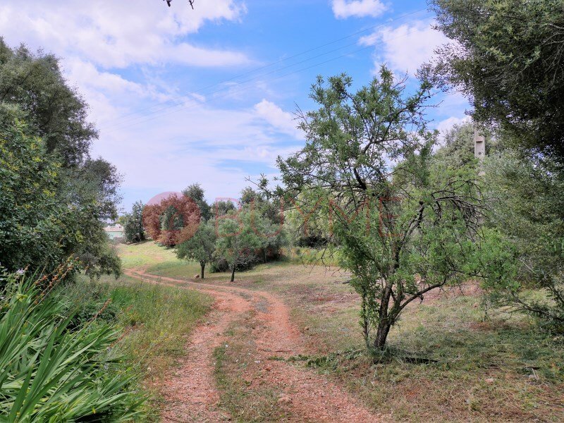 Urban Land Loulé In Loulé, Algarve, Portugal For Sale (12276256)