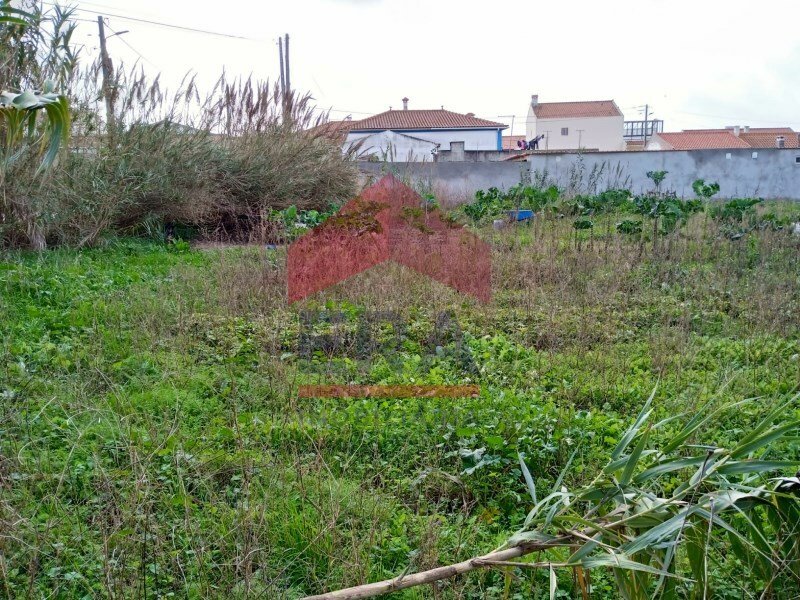 10.400 Sq.M Plot Of Land In Ferrel In Ferrel, Leiria District, Portugal