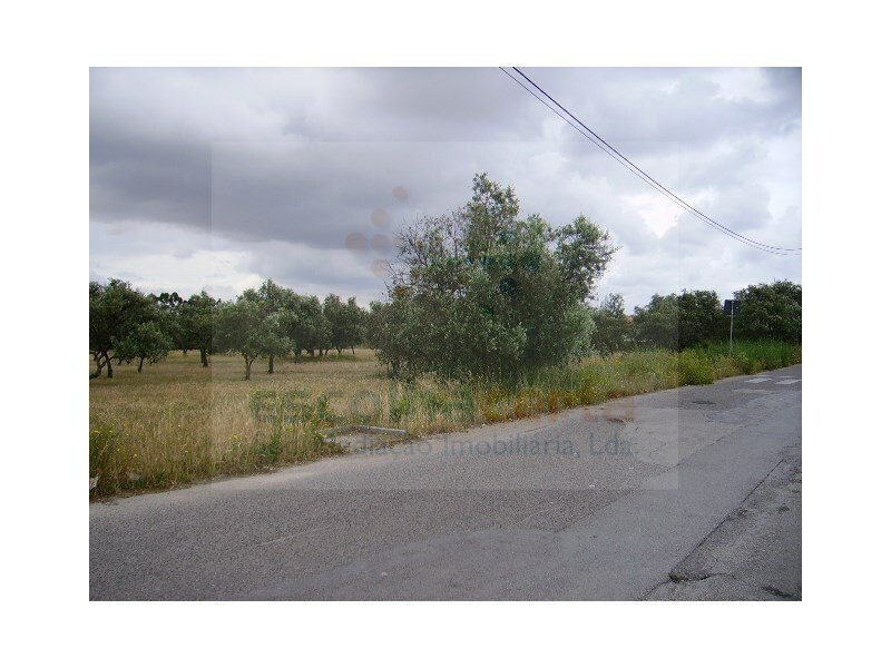 Land for sale in Palmela, Portugal — €3,500,000