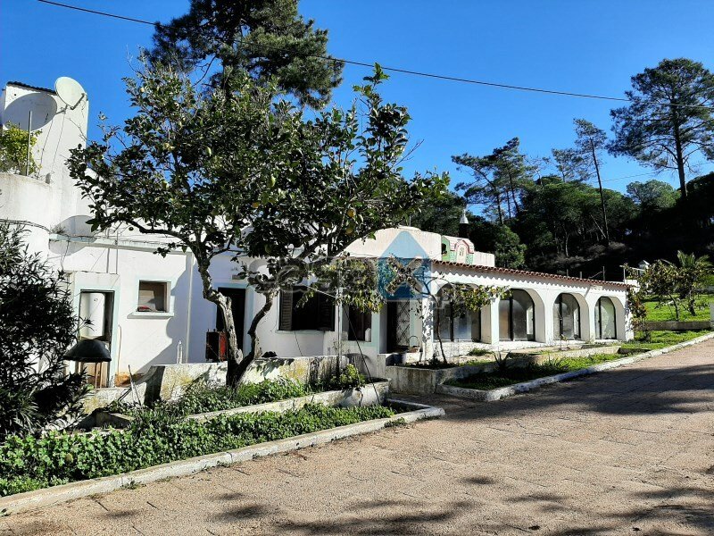 Mixed Land Sale Faro In Faro, Algarve, Portugal For Sale (12276311)