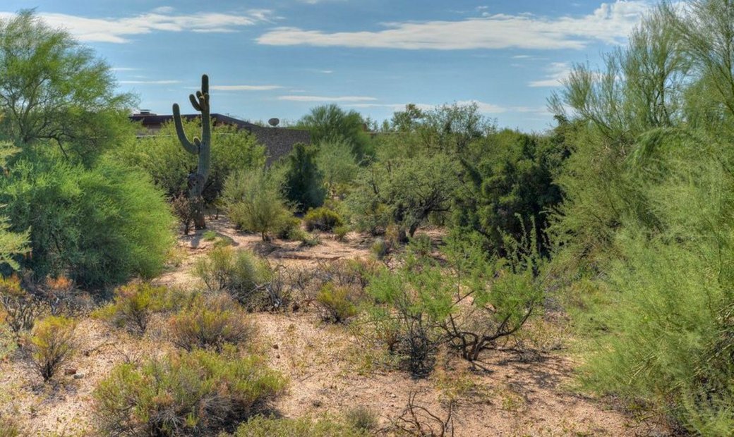 Gambel Quail Lot 23 In Scottsdale, Arizona, United States For Sale