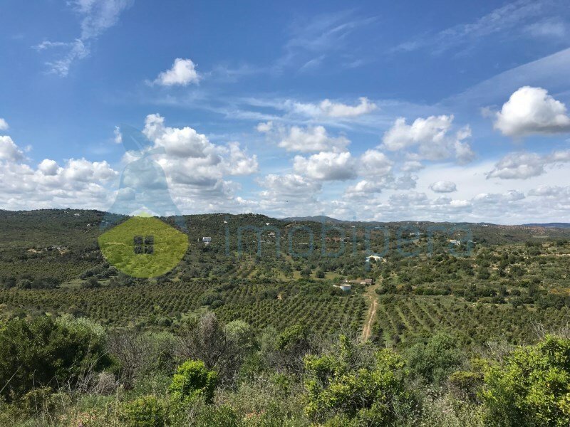 Magnificent Land 114 Hectares 22 Viable Hectares In Tavira, Algarve