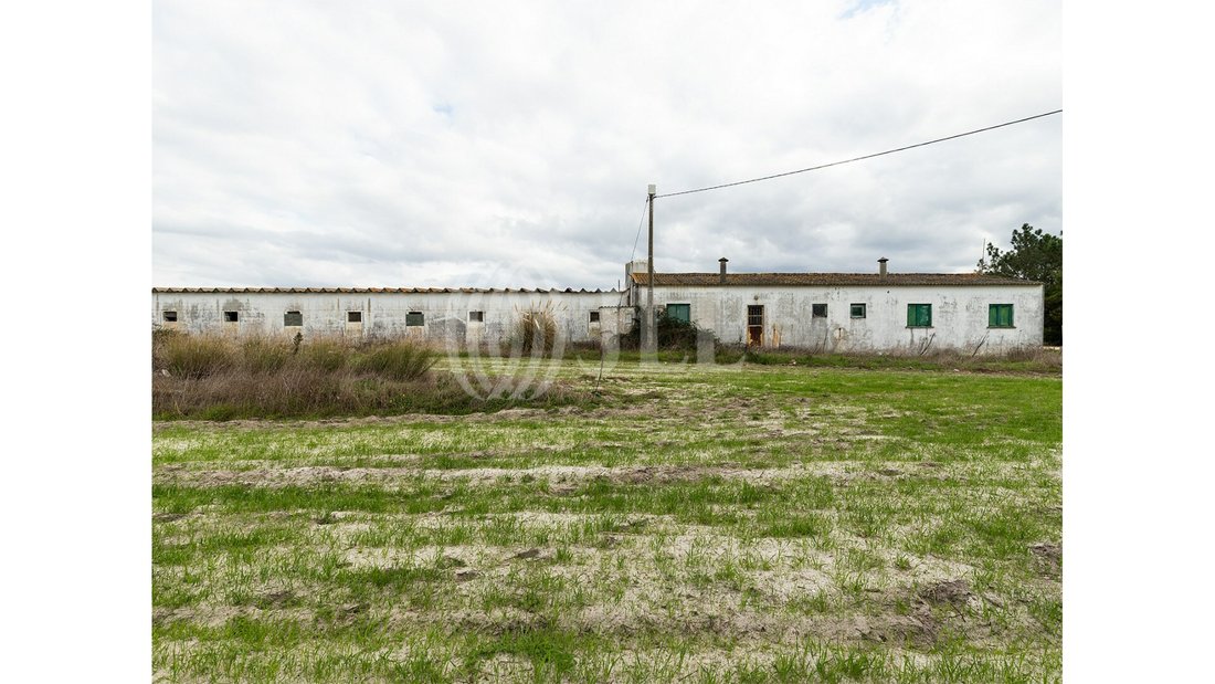 Estate In Odeceixe, Aljezur, Algarve In Odeceixe, Beja District