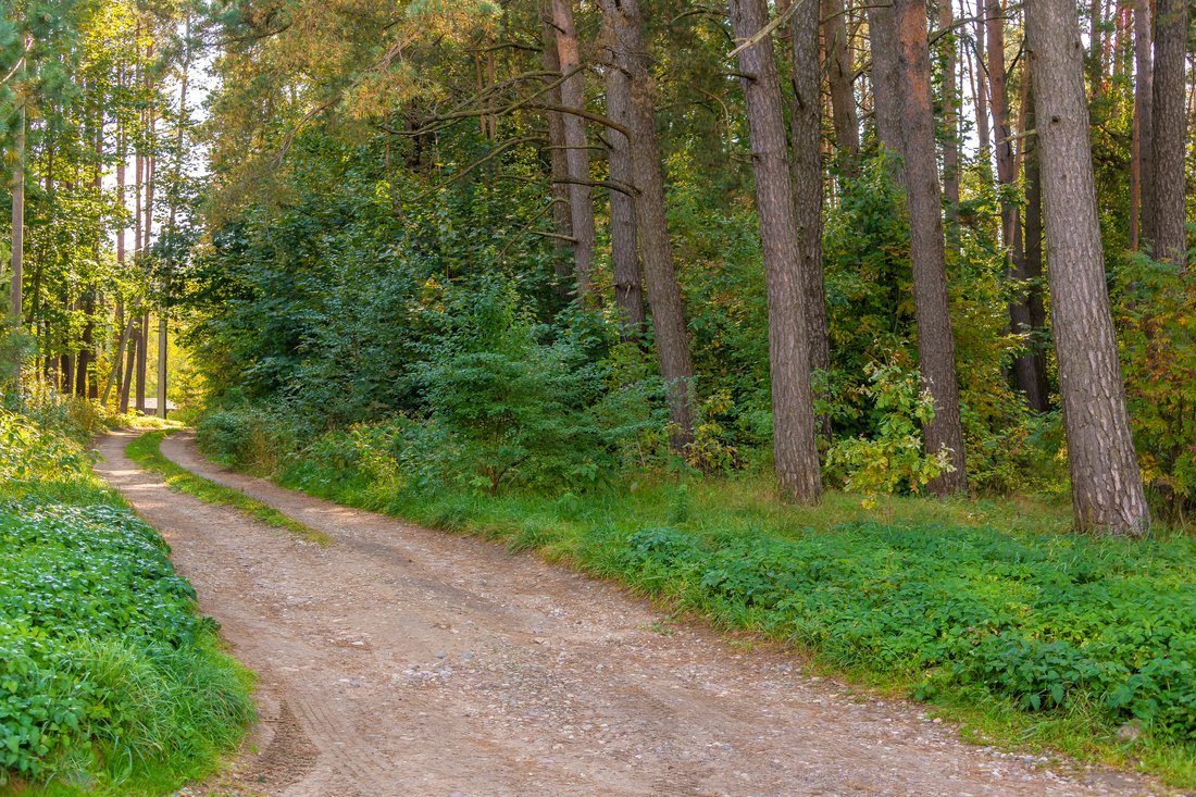 Land Plot Surrounded By Greenery In In Vilnius, Vilnius County