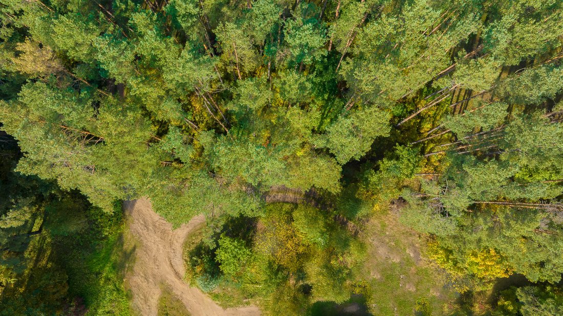 Land Plot Surrounded By Greenery In In Vilnius, Vilnius County