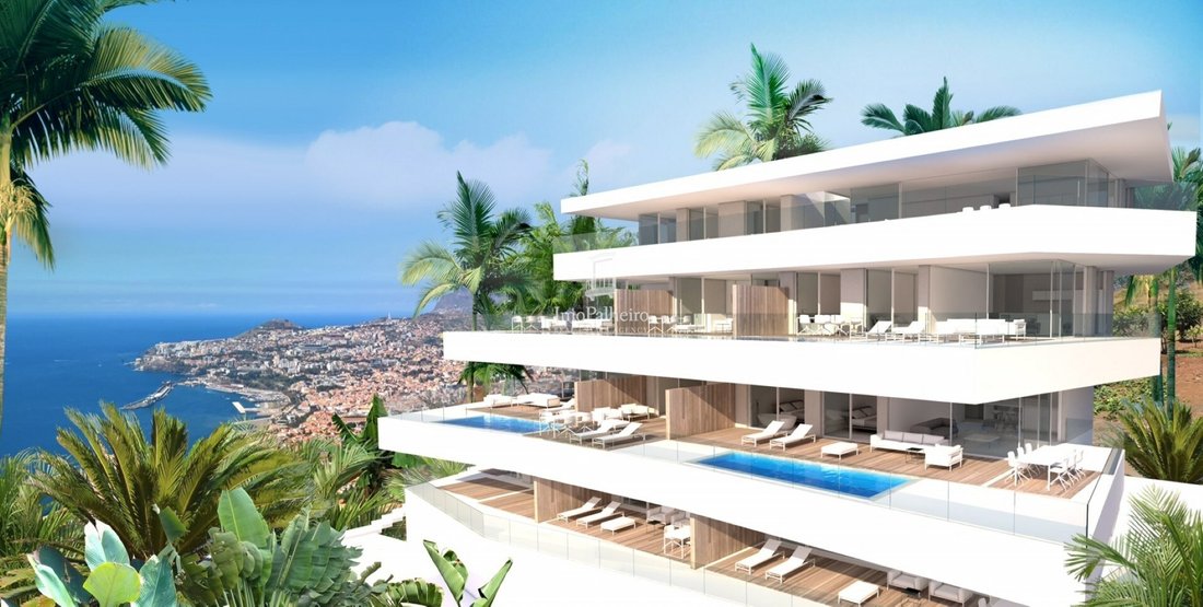 Land in São Gonçalo, Madeira, Portugal 1 - 12277992