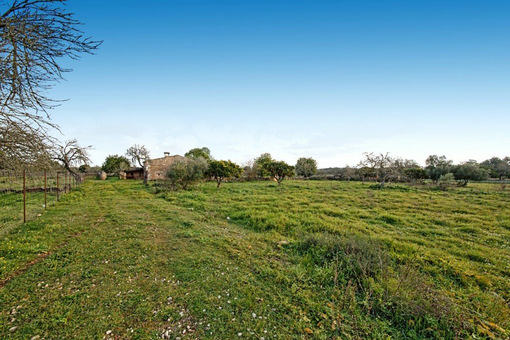 Farm Ranch in Maria de la Salut, Balearic Islands, Spain 2 - 12278988