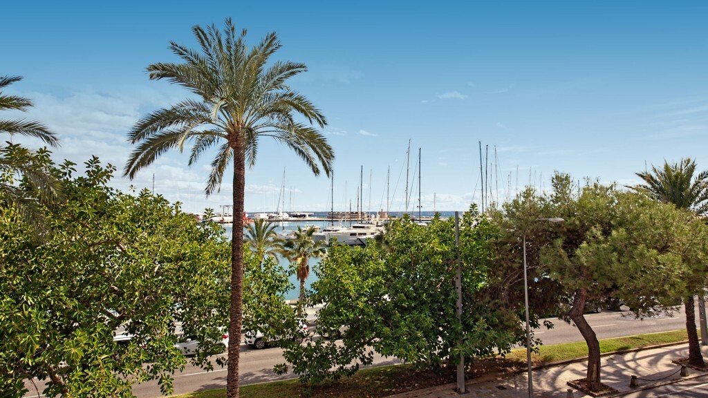 Apartment in Palma, Balearic Islands, Spain 4 - 12278929