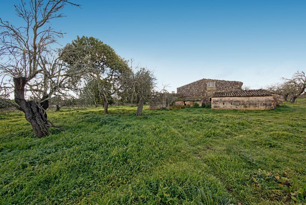 Farm Ranch in Maria de la Salut, Balearic Islands, Spain 1 - 12278988