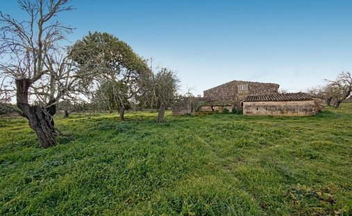 Farm Ranch in Maria de la Salut, Balearic Islands, Spain 1