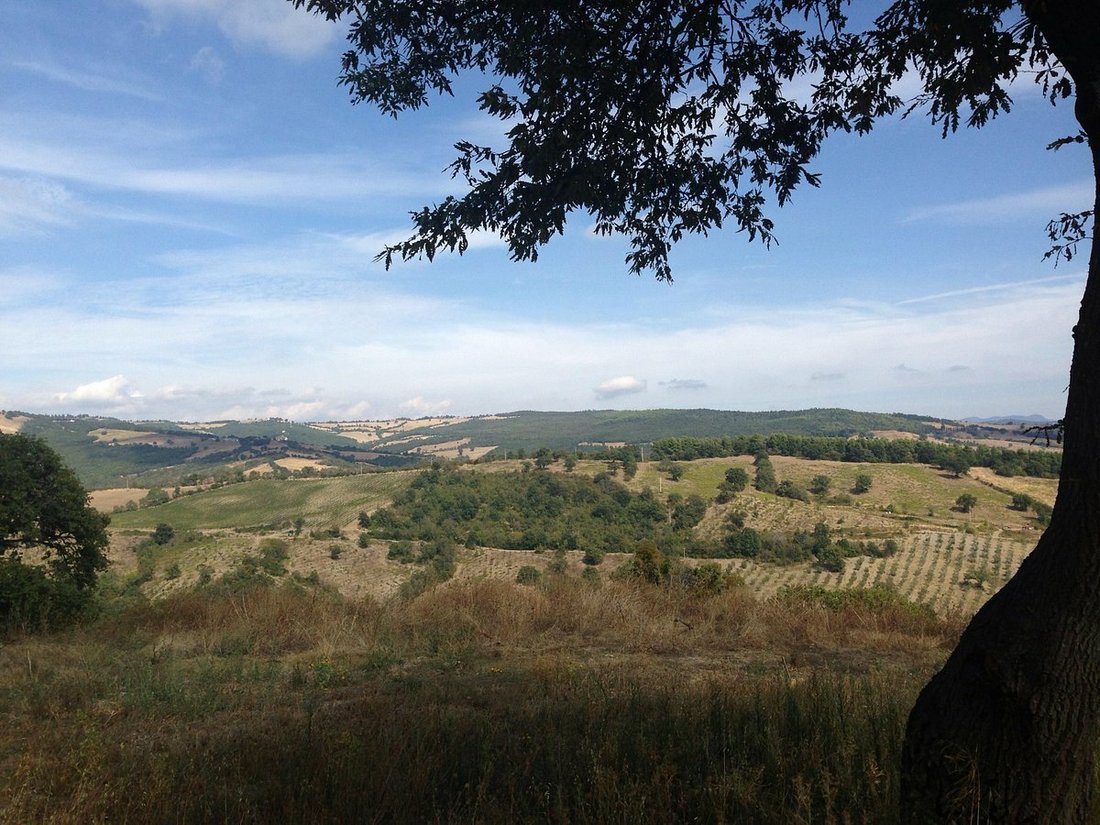 Country House in Grosseto, Tuscany, Italy 2 - 12279187