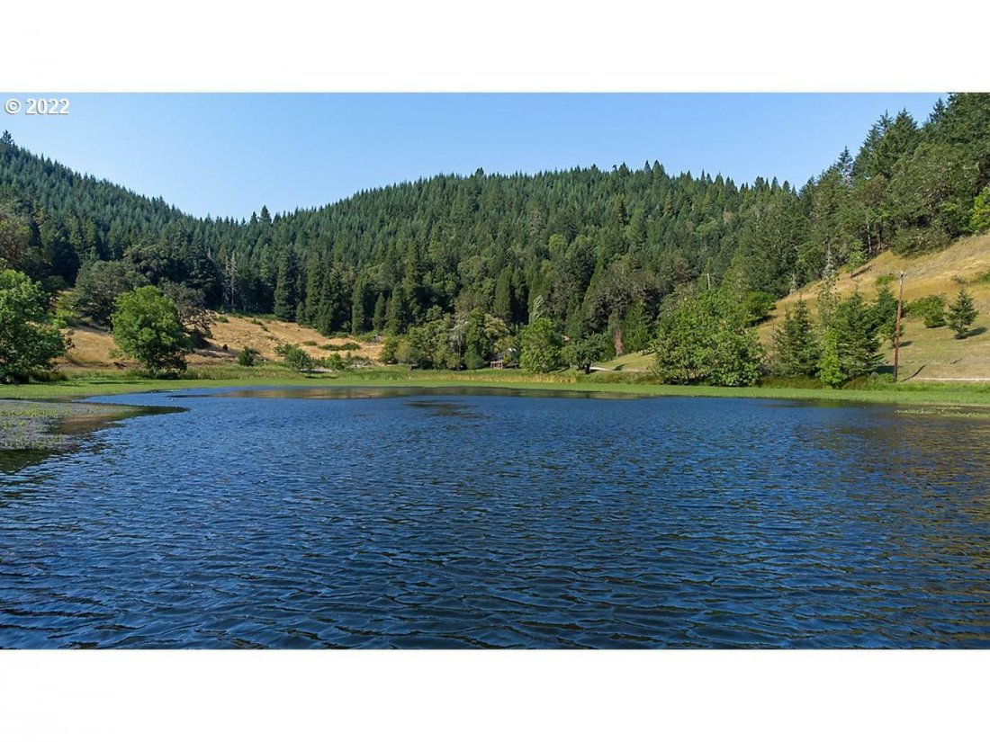 1924 Big Lick Lane In Tri City, Oregon, United States For Sale (12284391)