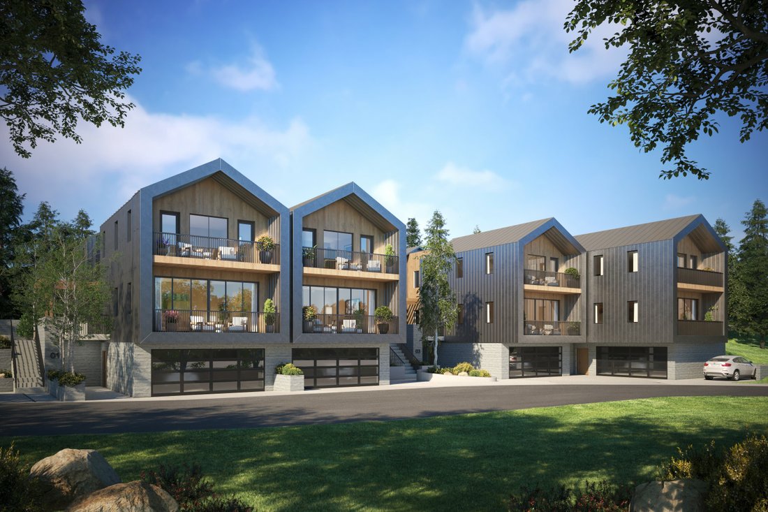 Lake House At The Tree Farm In El Jebel, Colorado, United States For