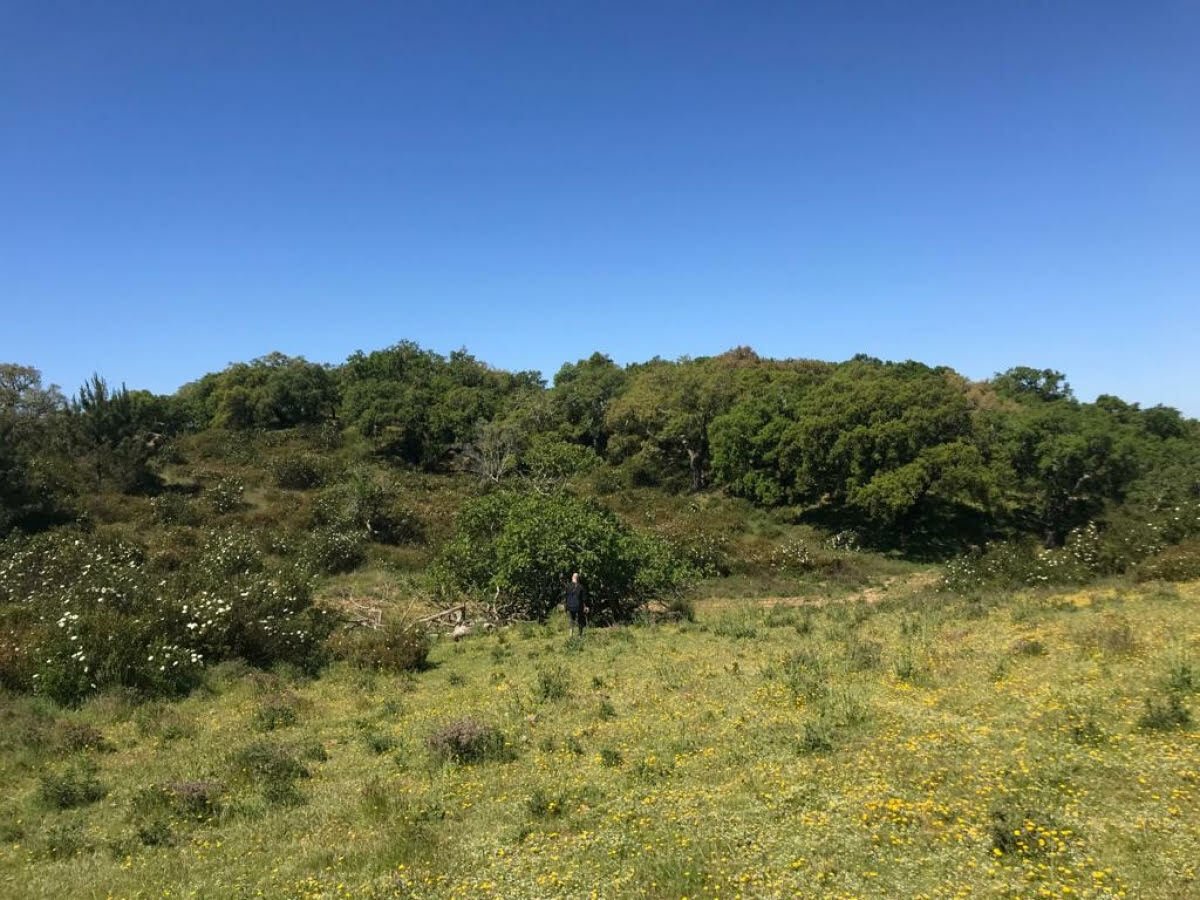 Land for sale in Grândola, Portugal — €950,000