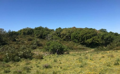 Land in Melides, Setubal, Portugal 1