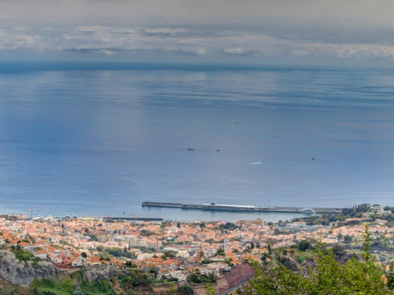Farm Ranch in Funchal, Madeira, Portugal 3 - 12297700