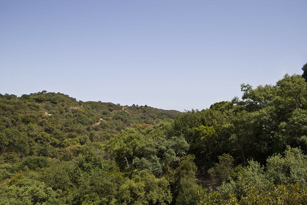 Land in La Zagaleta, Benahavís, Andalusien 1 - 12301995