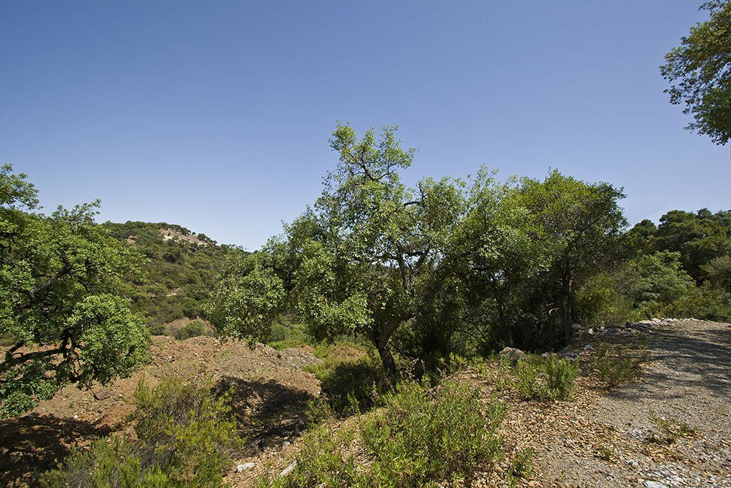 Land in La Zagaleta, Benahavís, Andalusien 2 - 12301995