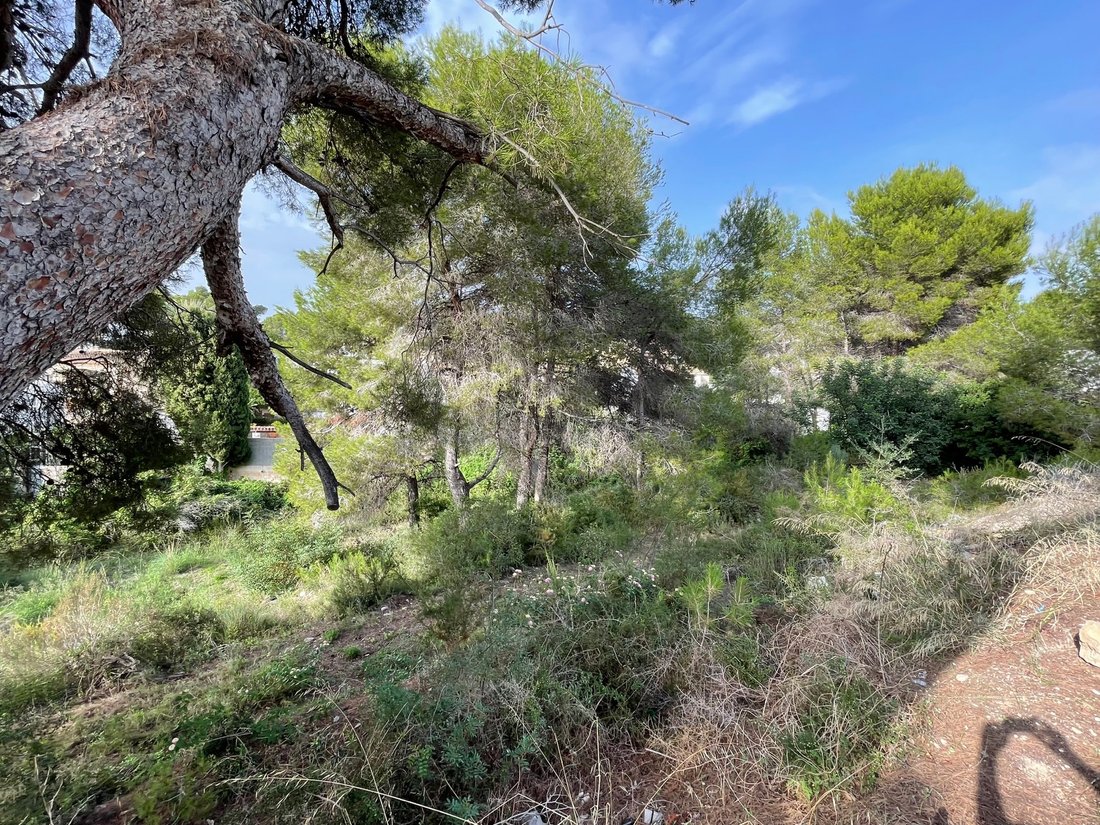 Land in Moraira, Teulada, Valencian Community 4 - 12304205