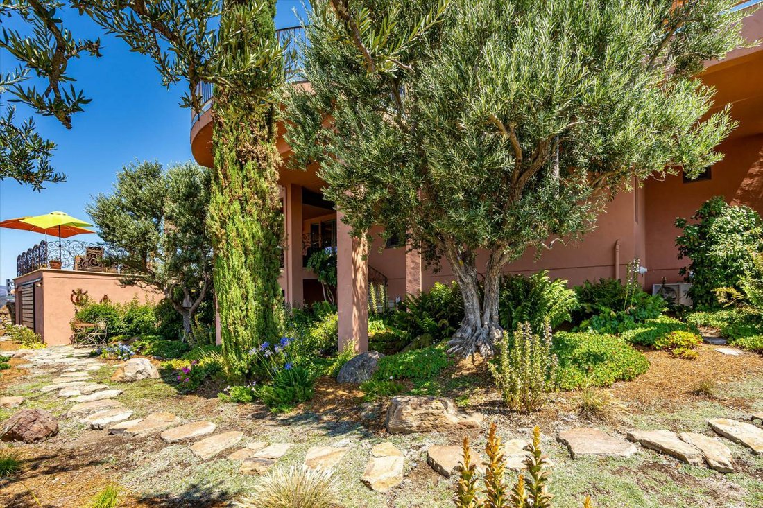 House in Angwin, California, United States 4 - 12285044