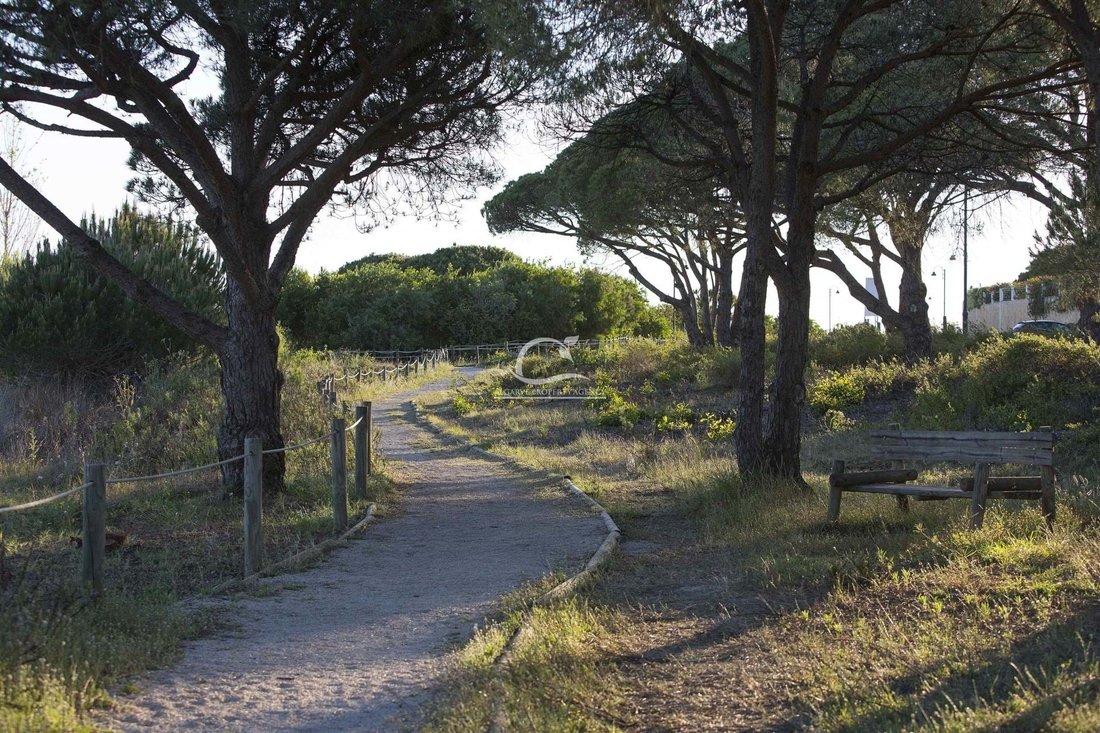 Land in Almancil, Algarve, Portugal 2 - 12317998