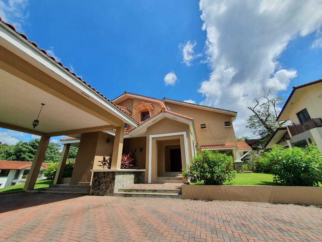 Lots Of Natural Light And Nature All Around In In Panama City, Panama