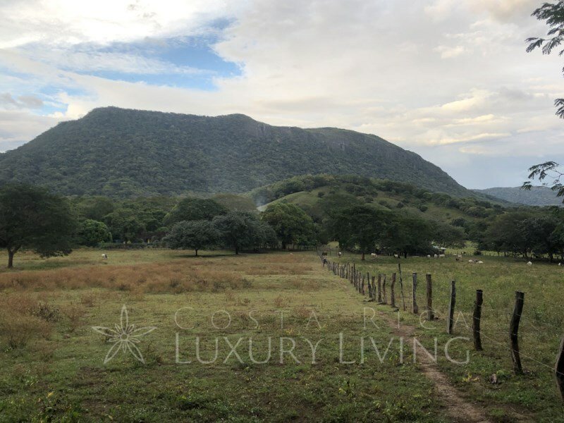 19669 Cattle Farm And Forest In Nicoya, Guanacaste Province, Costa Rica