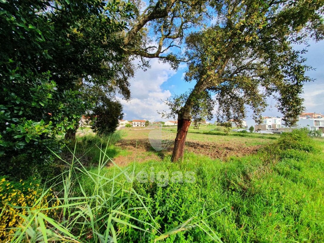 Terreno Caldas Da Rainha Nossa In Caldas Da Rainha, Leiria District