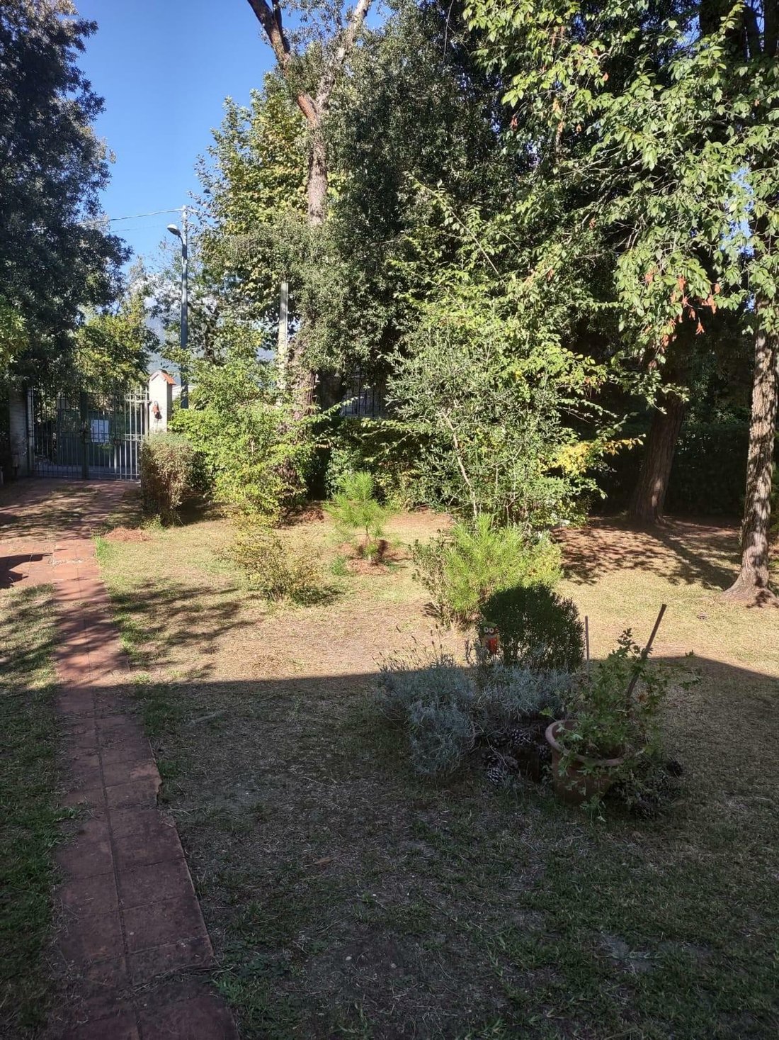 House in Bondano - Partaccia, Massa, Italy 2 - 12323391