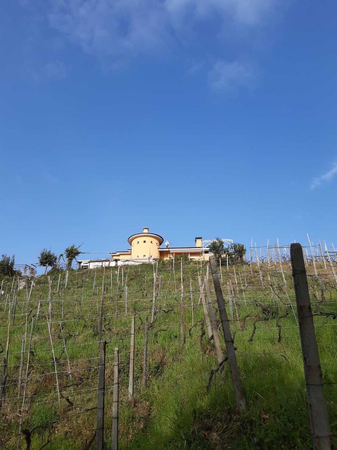 Villa in Romagnano, Massa, Tuscany 5 - 12323370