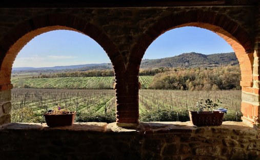 Villa in Civitella In Val di Chiana, Tuscany, Italy 1