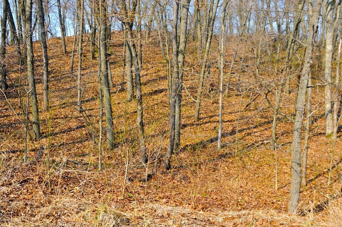 Vacant Land In Beverly Shores, Indiana, United States For Sale (12326905)