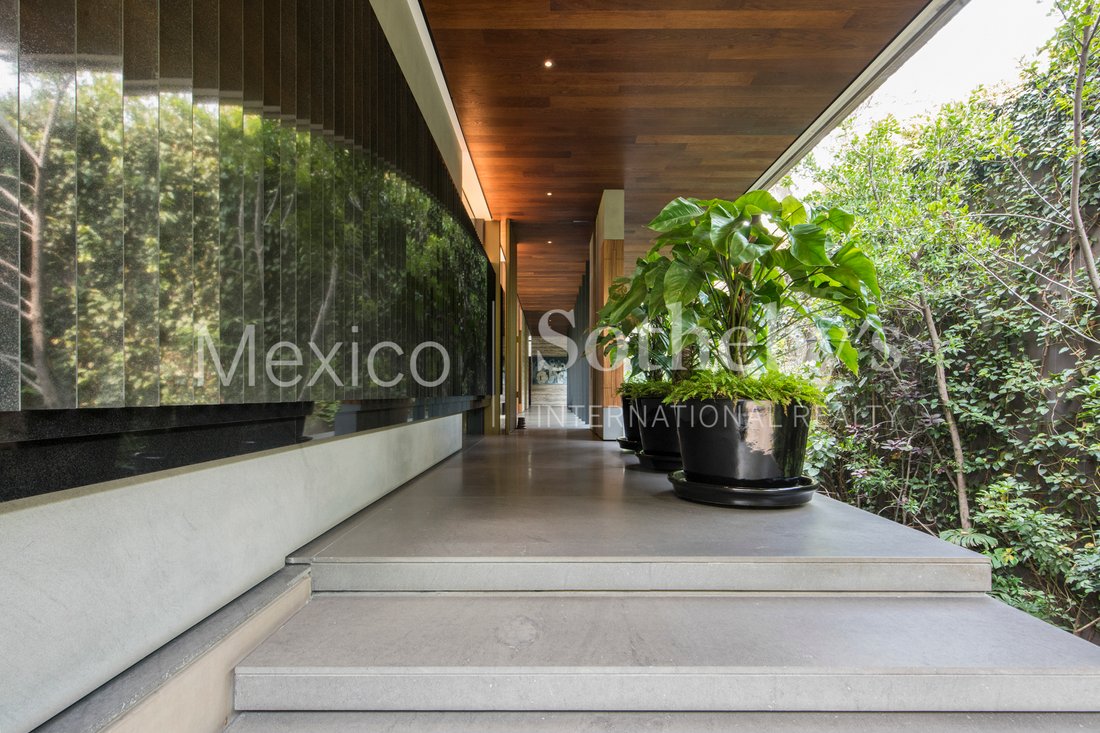 House in Mexico City, Mexico 4 - 12326996